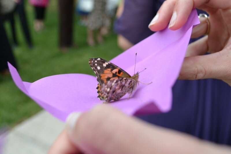 Butterfly on Purple Paper