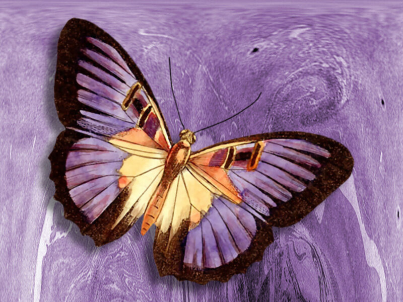 Butterfly on Purple Surface