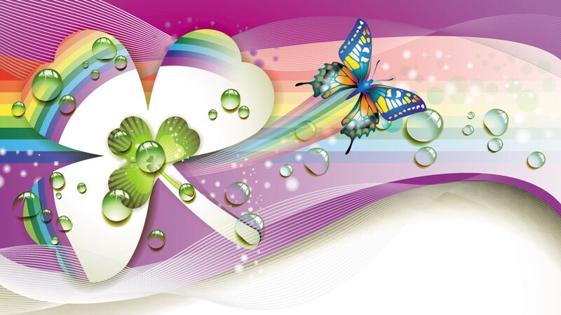 Butterfly on Rainbow Flower