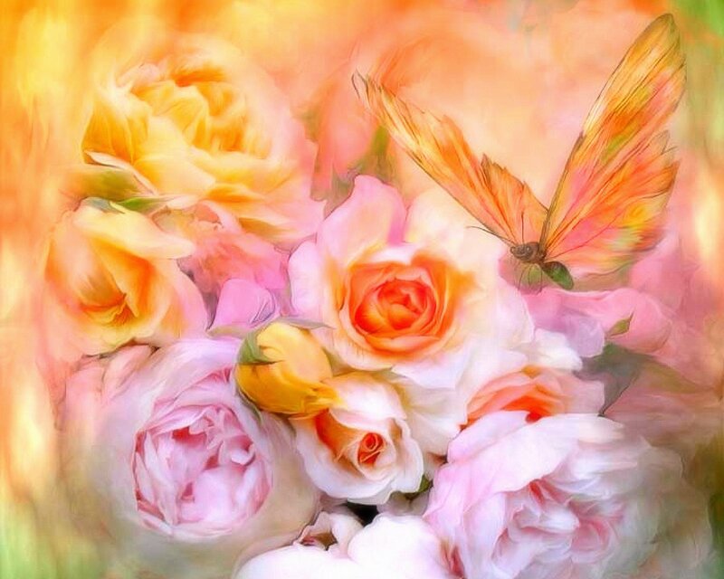 Butterfly on Roses