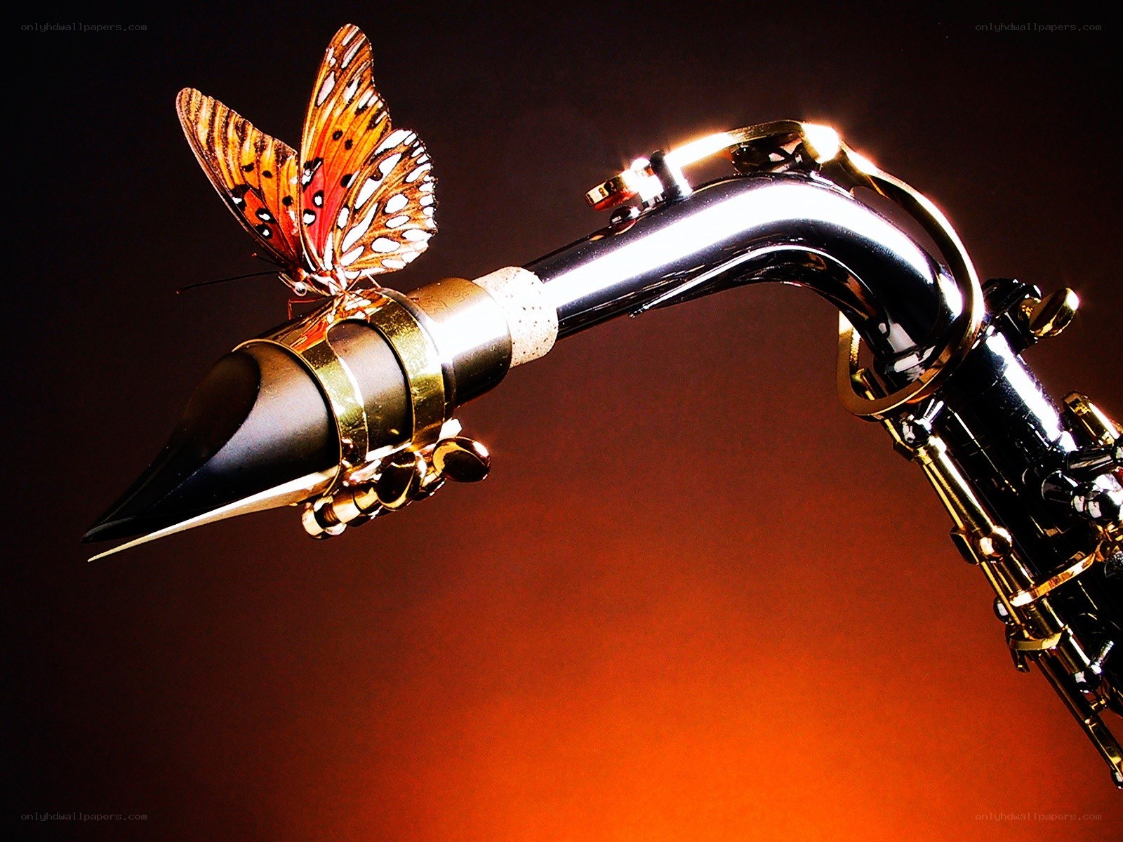 butterfly on saxophone