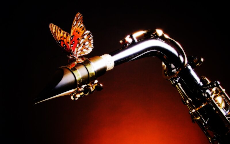 Butterfly on Saxophone — Black, Dramatic, Photograph