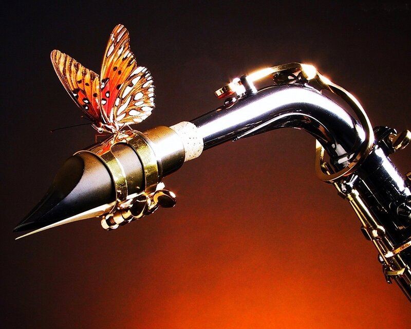 Butterfly on Saxophone — Black