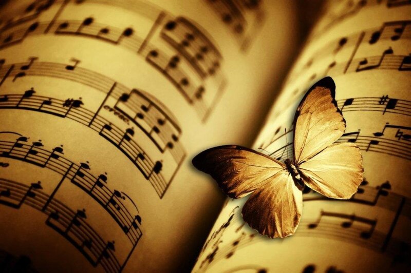 Butterfly on Sheet Music — Brown