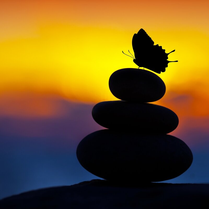 Butterfly on Stacked Stones