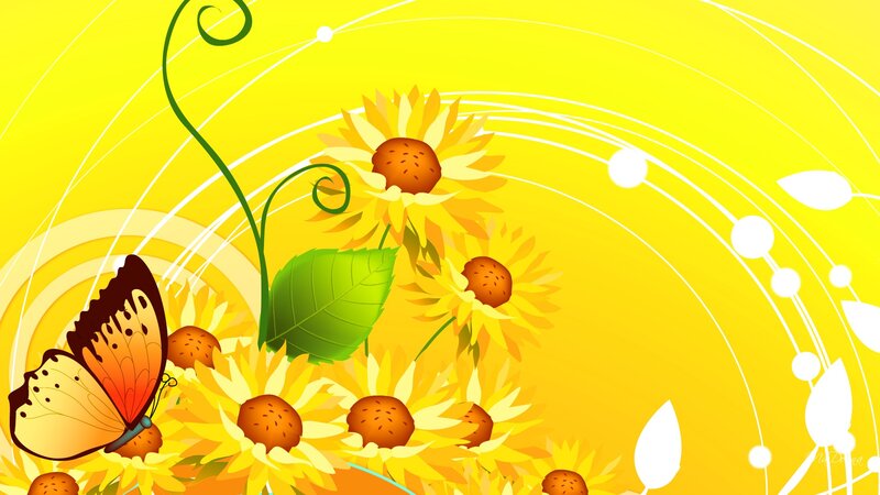 Butterfly on Sunflowers