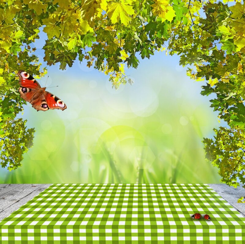 Butterfly on Table — Green