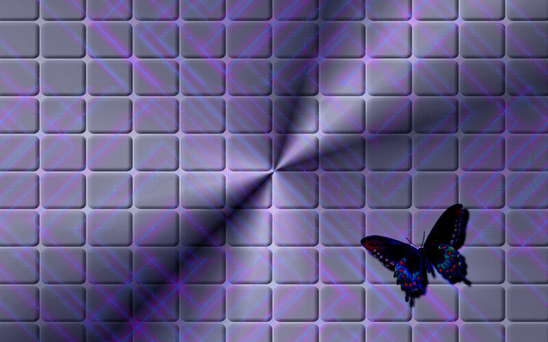 butterfly on tiled surface