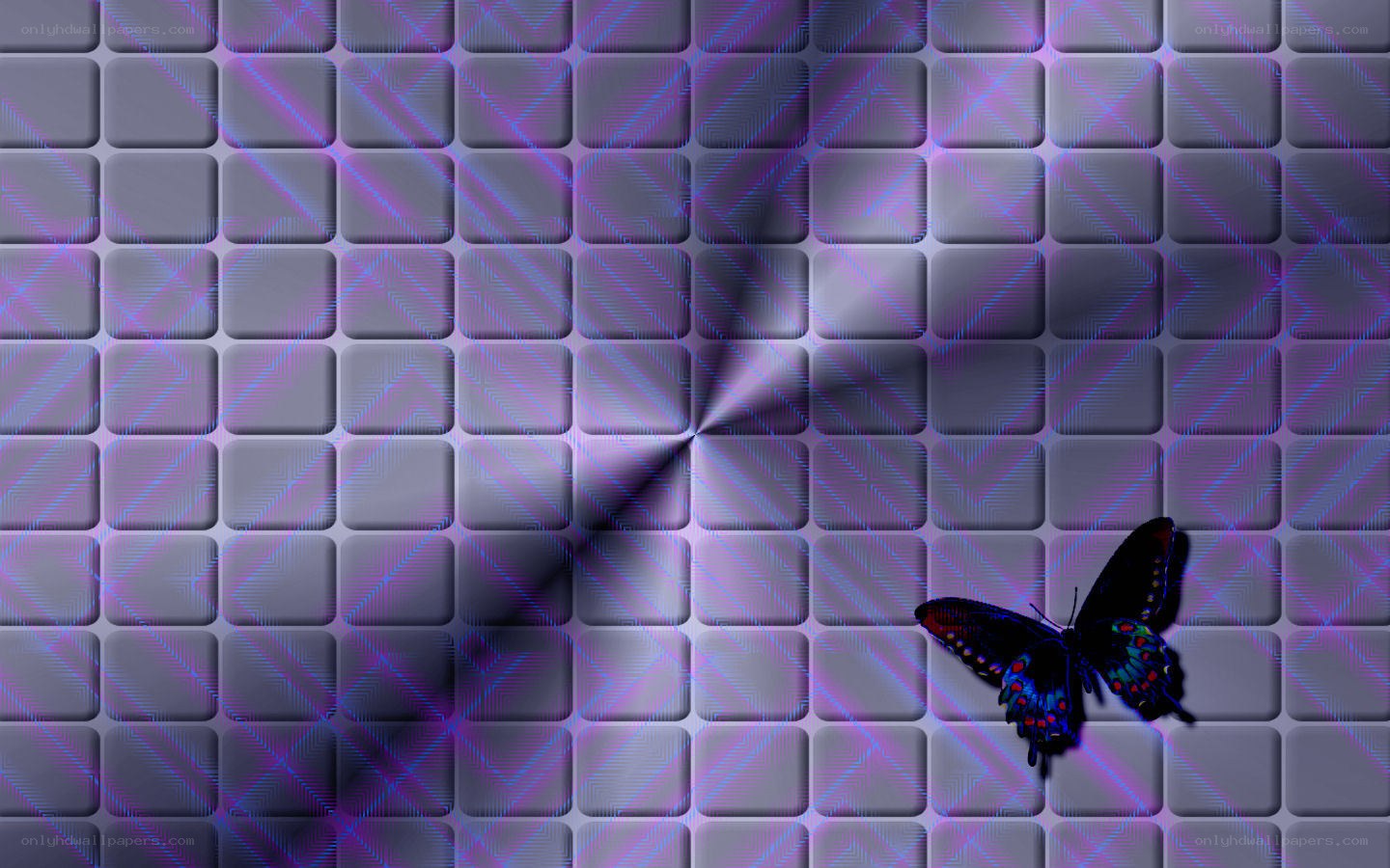 butterfly on tiled surface