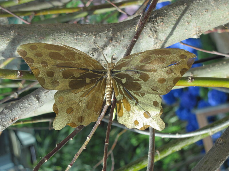 Butterfly on Tree Branch — Brown, Natural
