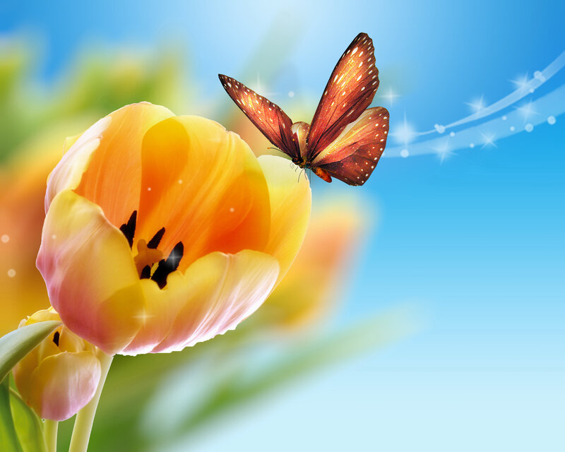 Butterfly on Tulip — Yellow