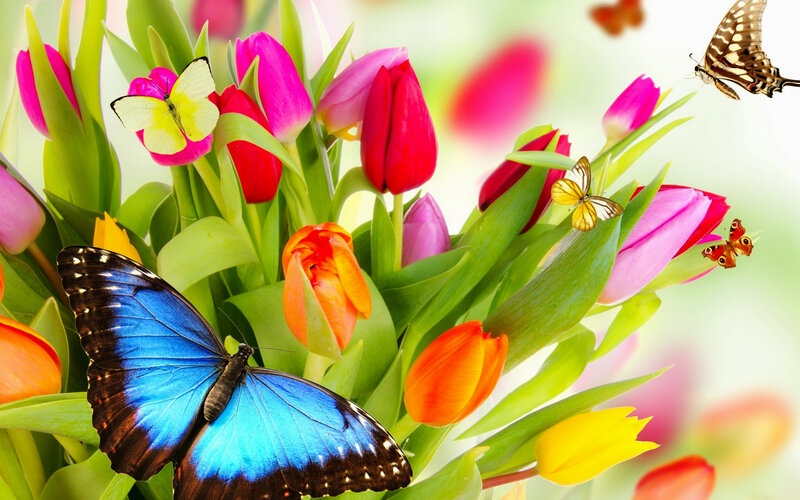 Butterfly on Tulips — Blue