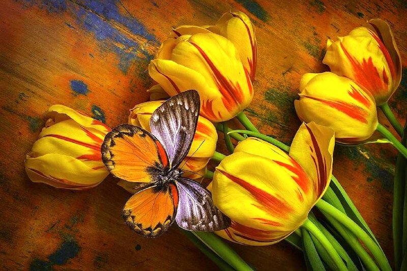 Butterfly on Tulips — Yellow