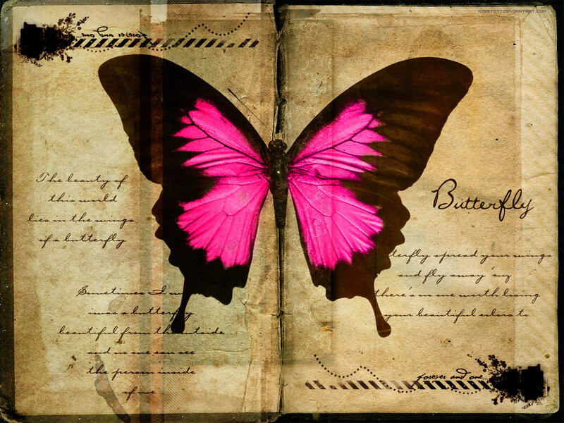 butterfly on vintage page