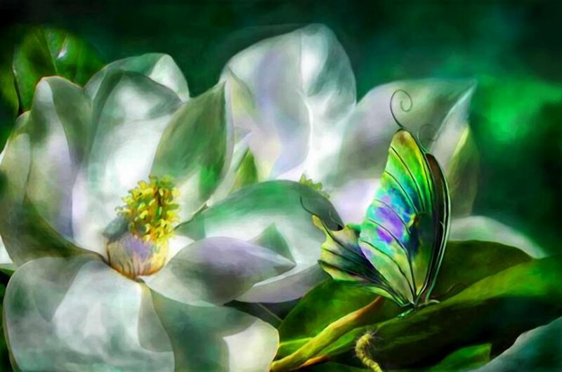 Butterfly on White Flower — Serene, Digital Art