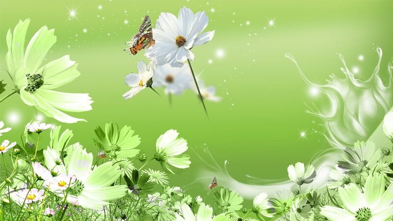 Butterfly on White Flowers — Green, Serene
