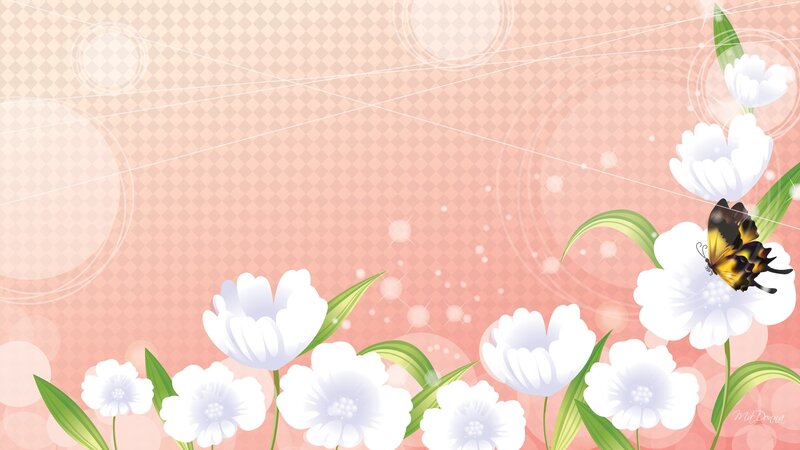 Butterfly on White Flowers — Pink