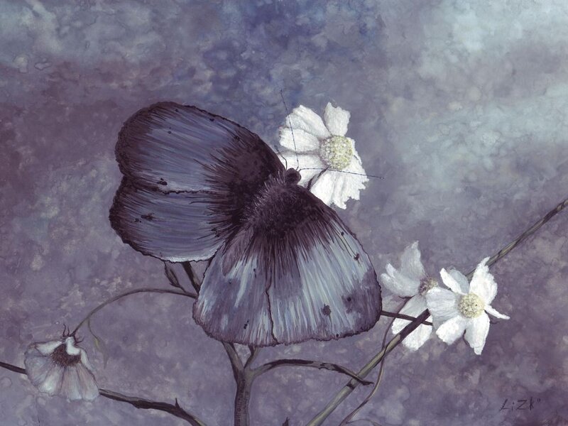 Butterfly on White Flowers — Purple, Serene