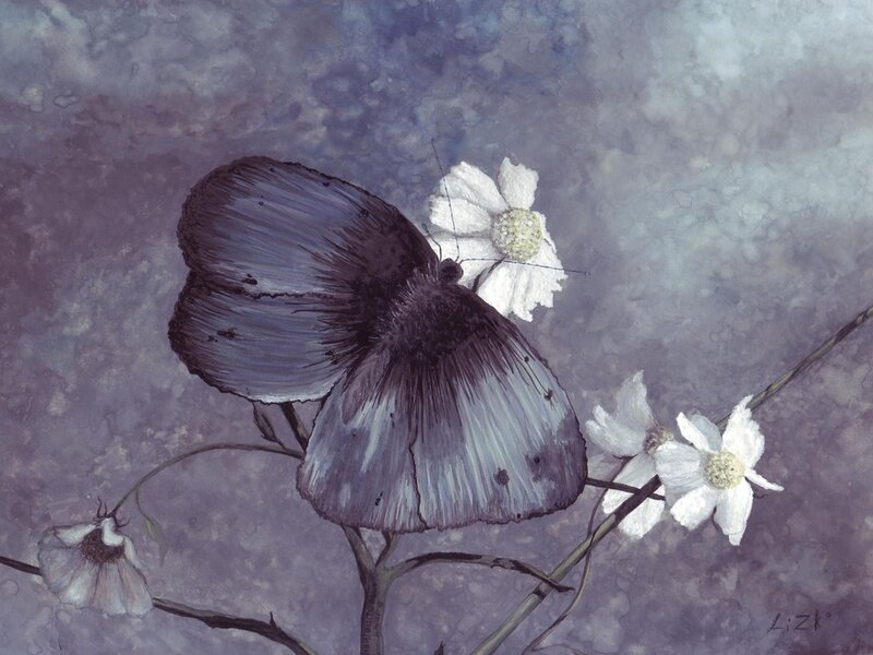 Butterfly on White Flowers — Purple