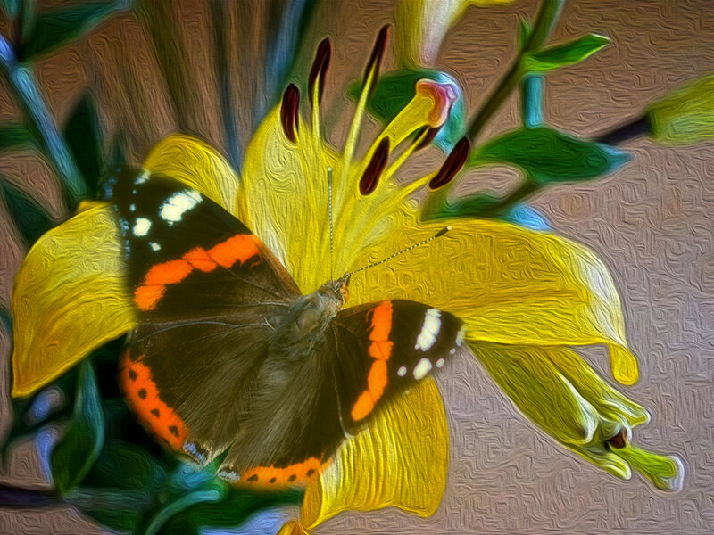 Butterfly on Yellow Flower — Vibrant, Digital Art