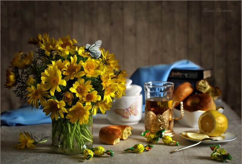 Butterfly on Yellow Flowers — Serene, Morning