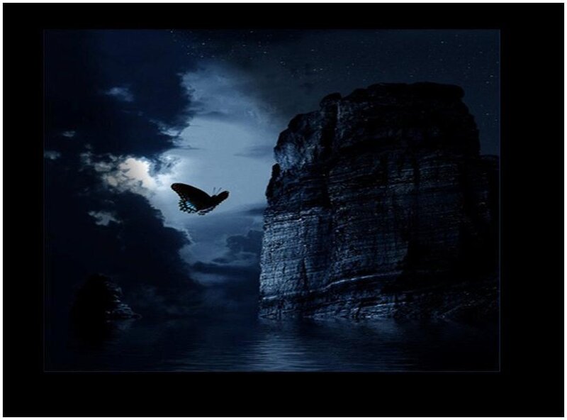 Butterfly over a cliff at night
