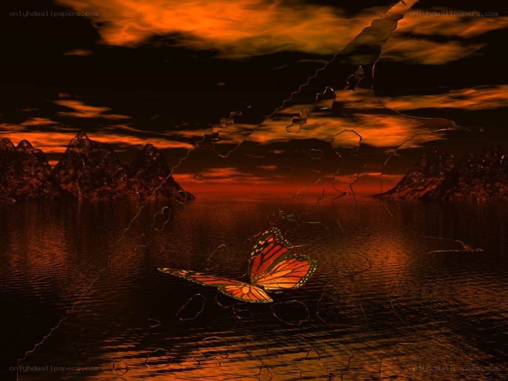 Butterfly over a cracked landscape
