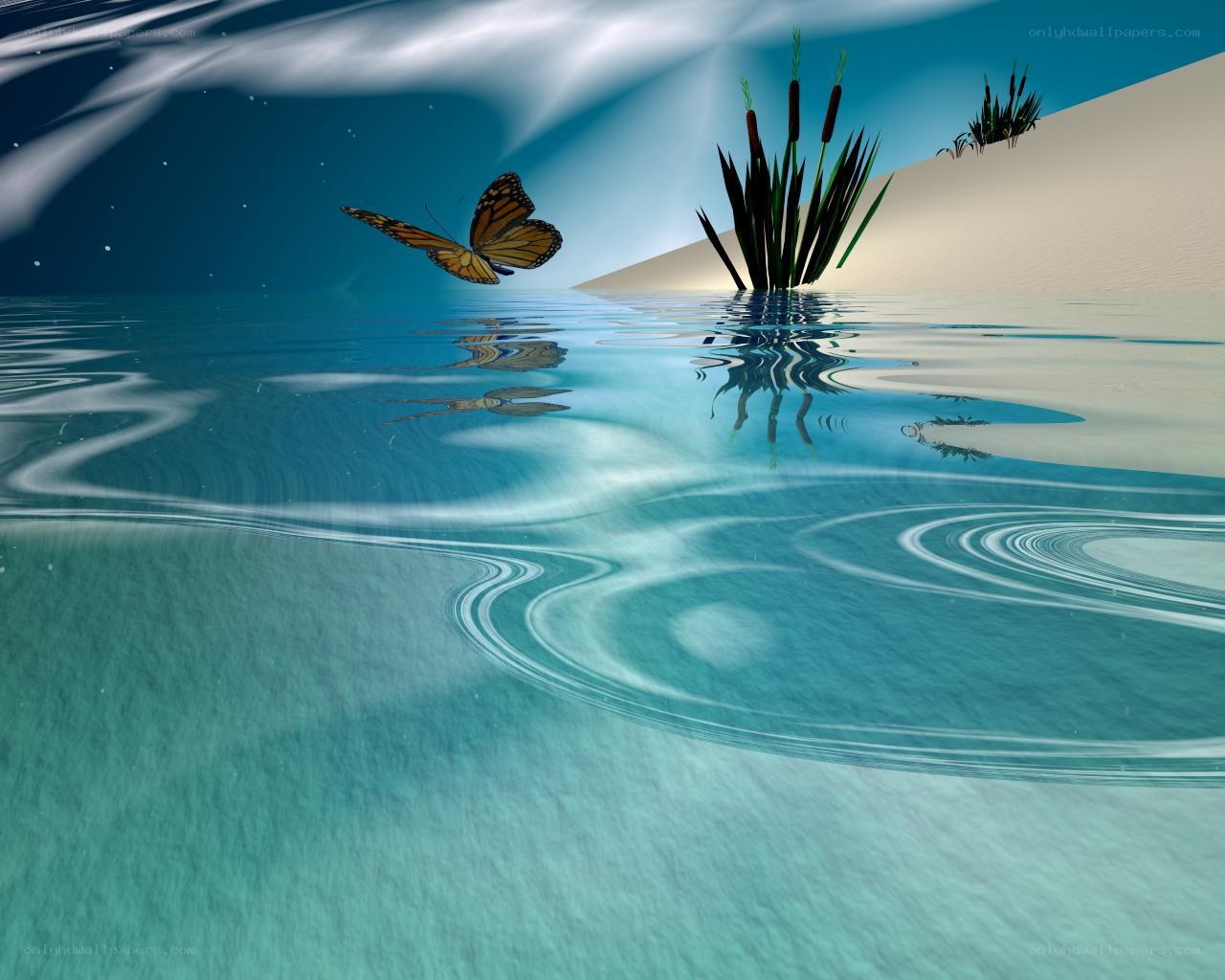 Butterfly over calm water