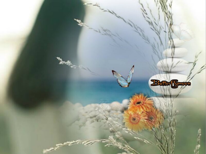 Butterfly over Flowers — Blue, Serene