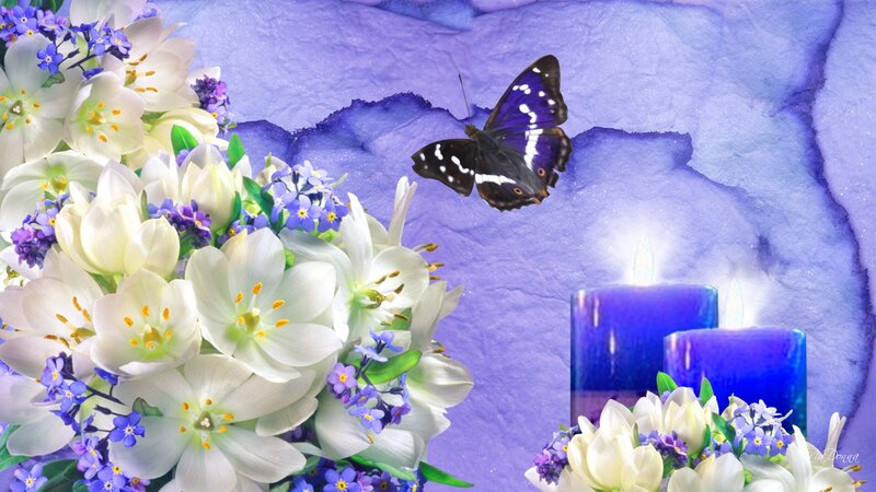 Butterfly over Flowers — Purple