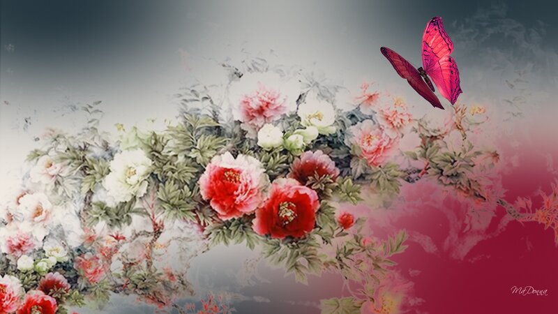 Butterfly over Flowers