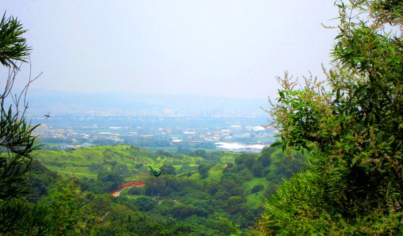 Butterfly over Hills