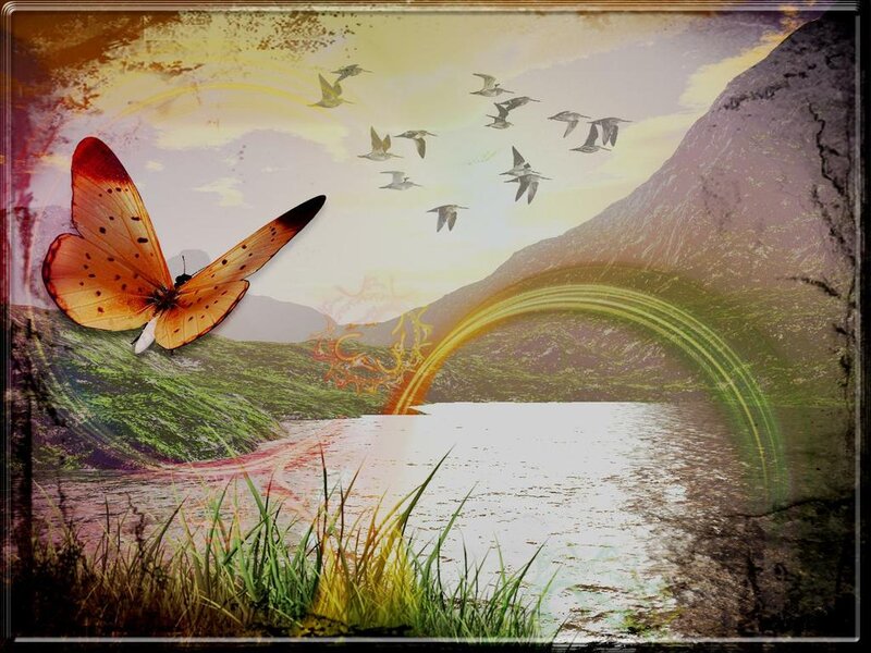 Butterfly over Lake — Orange