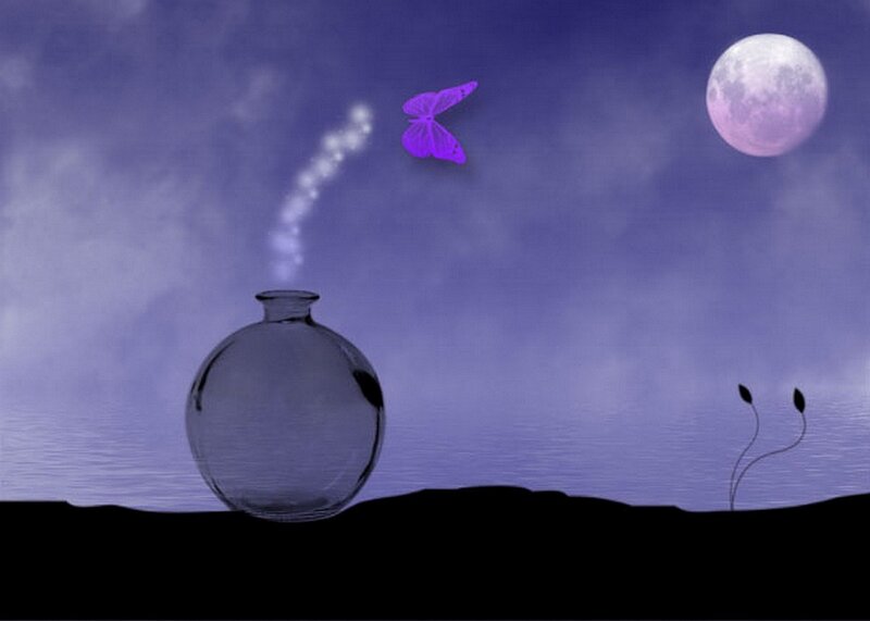 butterfly over moonlit landscape