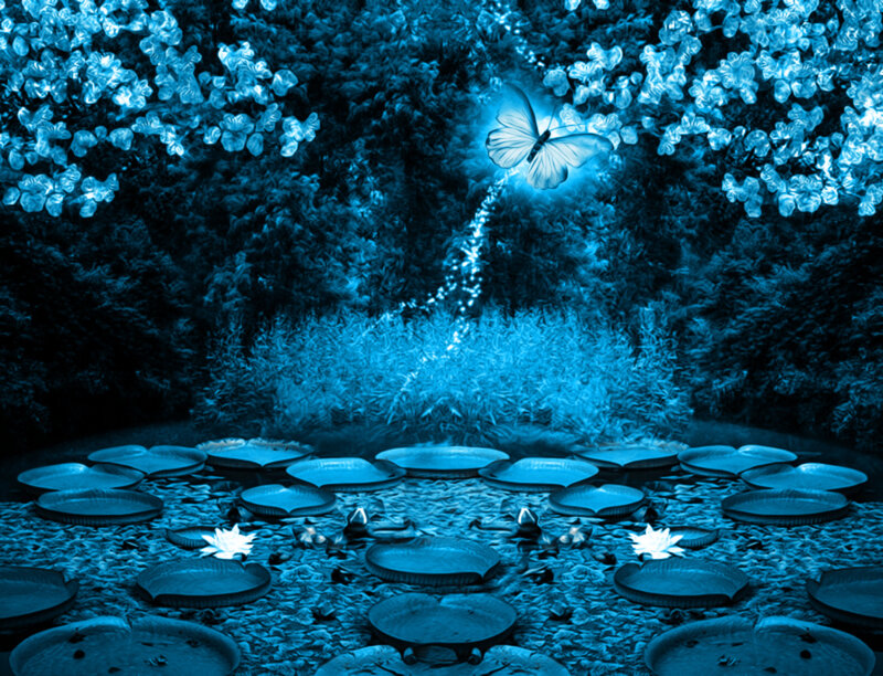 Butterfly over Pond — Blue