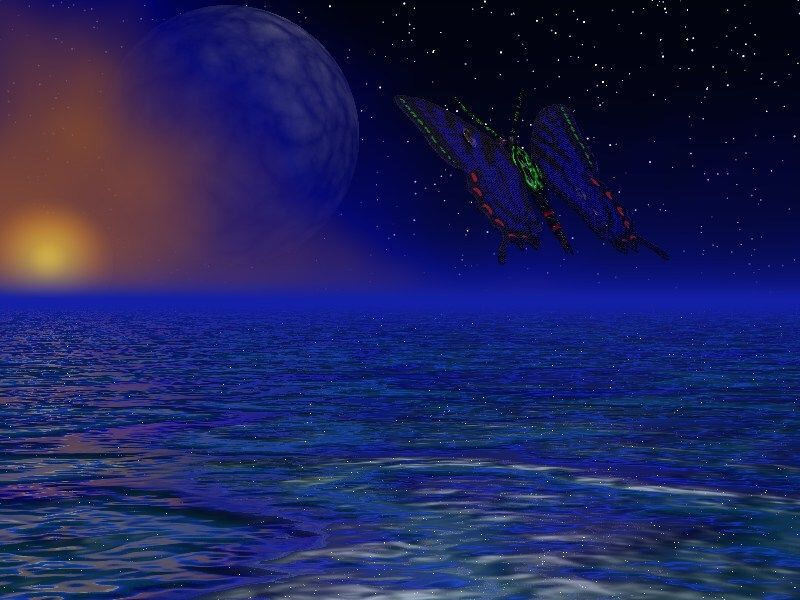 Butterfly over the ocean at night