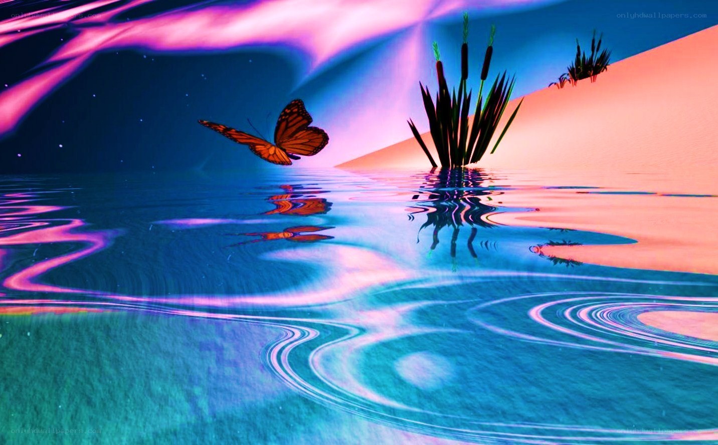 butterfly over water at night