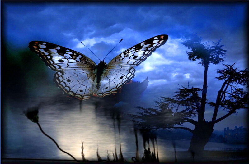 Butterfly over Water — Blue, Dramatic
