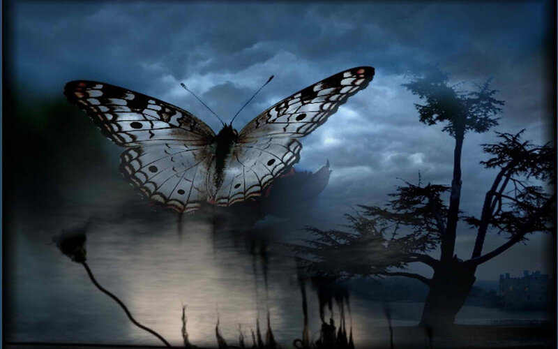 Butterfly over Water — Blue