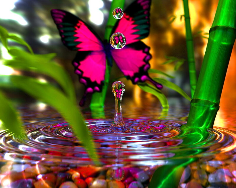 Butterfly over Water — Green