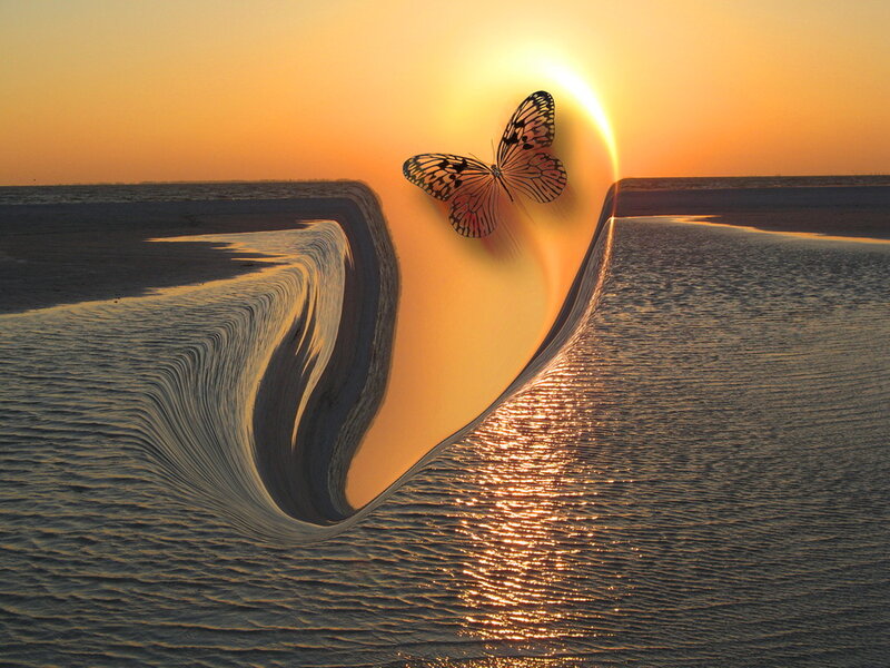 Butterfly over Water — Orange
