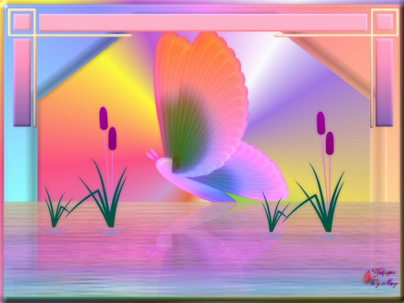 Butterfly over Water — Pink
