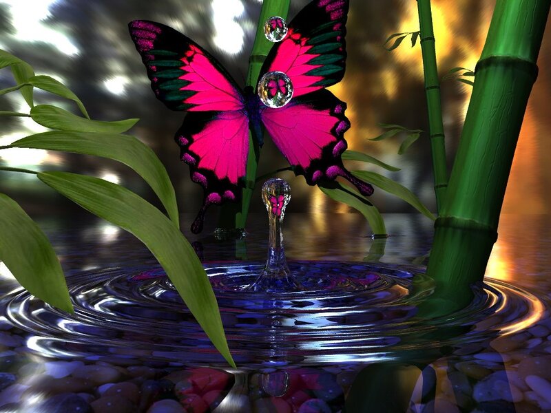 butterfly over water ripple