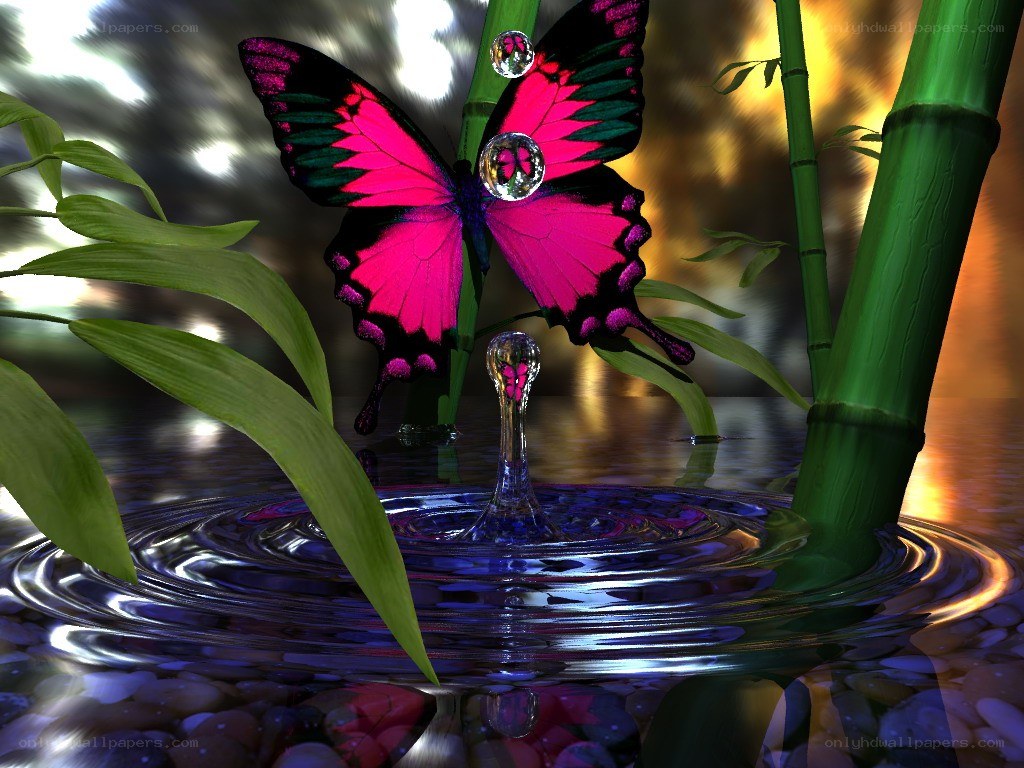 butterfly over water ripple