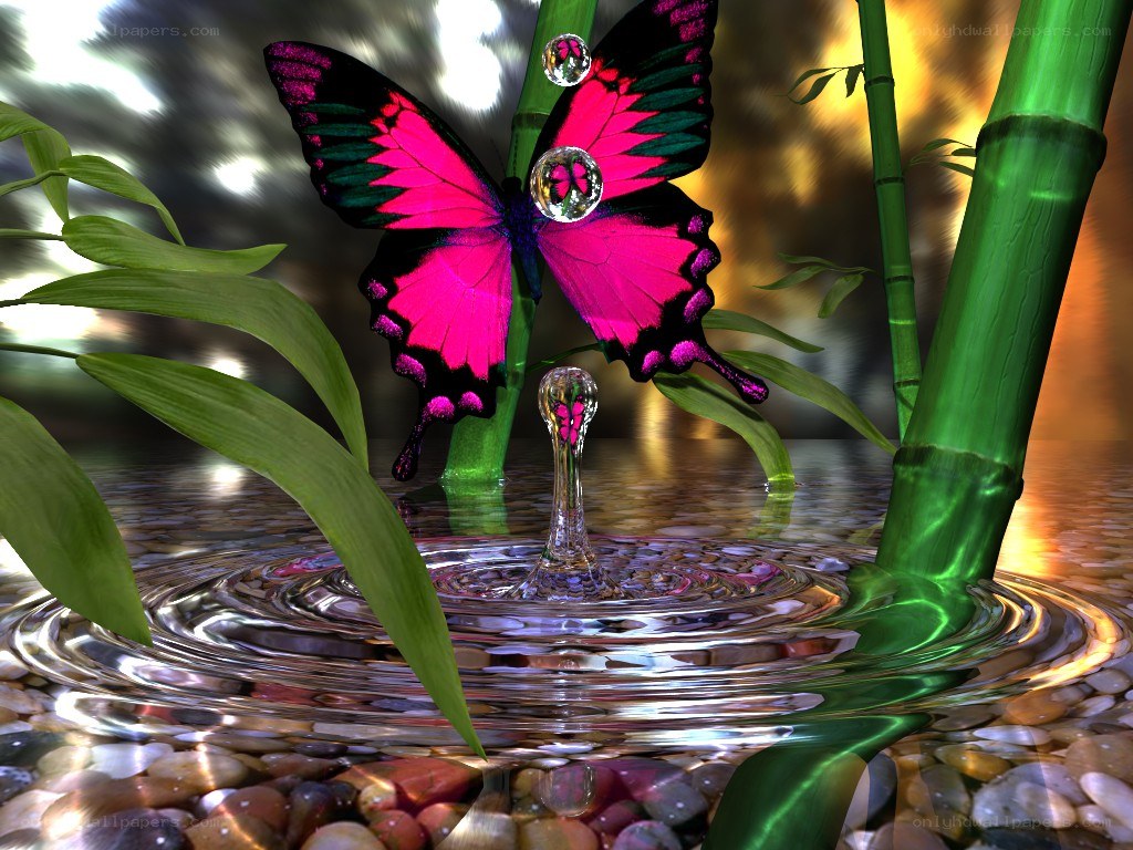butterfly over water ripple