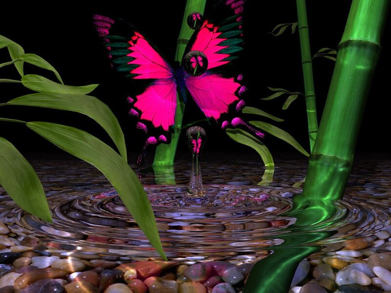 butterfly over water ripple