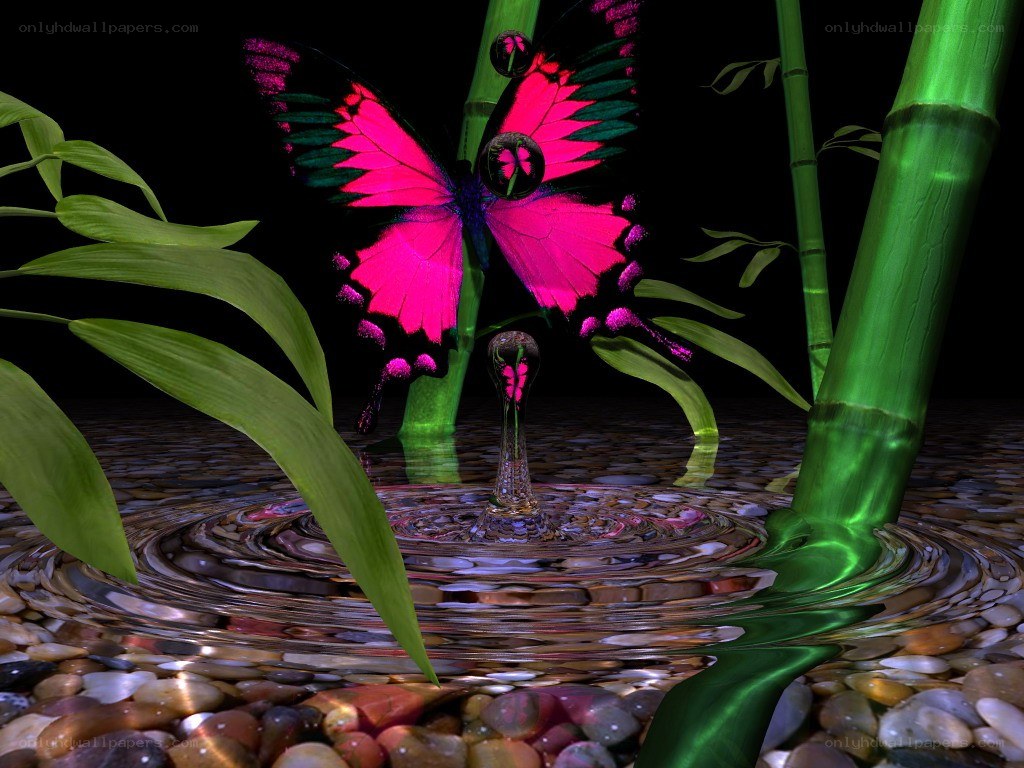 butterfly over water ripple