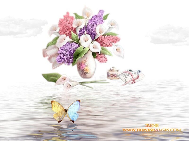 Butterfly over Water