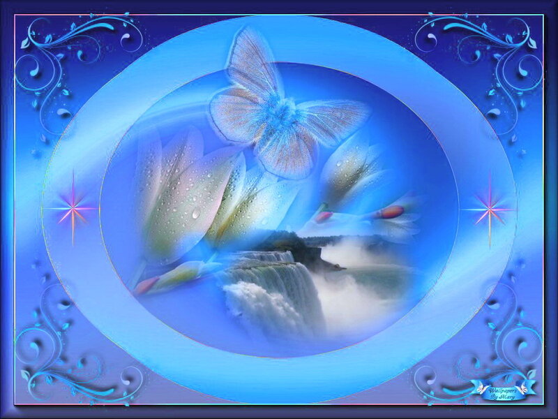 Butterfly over Waterfall