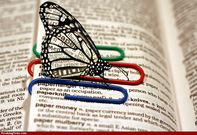 butterfly paperclip on book